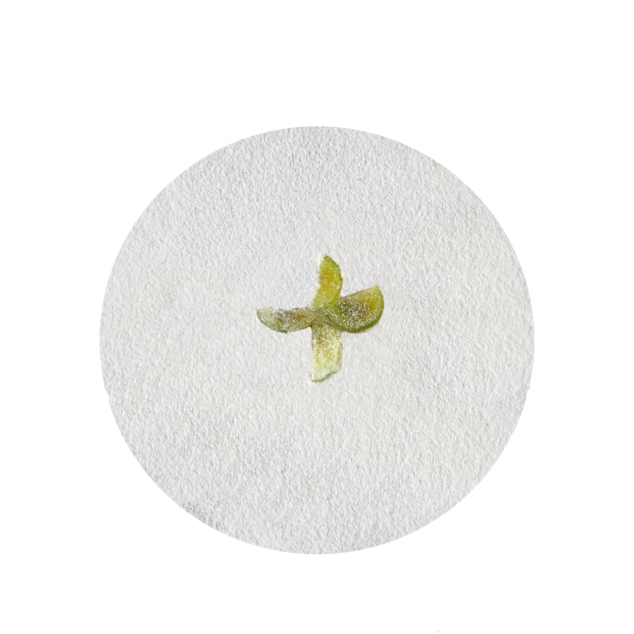 Torta Cuori di Ricotta e Fichi