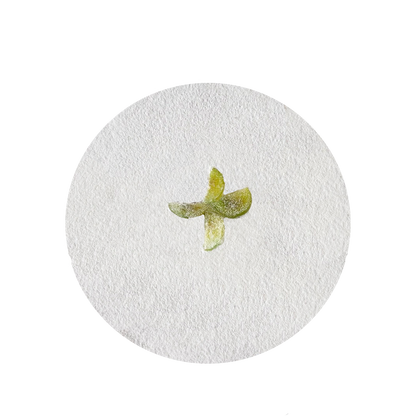 Torta Cuori di Ricotta e Fichi